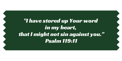 Scripture verse Psalm 119:11 image from Satisfaction Through Christ.