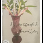 My Husband Brought Me Flowers Today | Satisfaction Through Christ