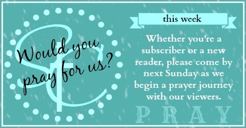 Satisfaction Through Christ wants you to begin praying for our blog, and any blog or e ministry that ministers to you. Will you begin praying with us for our content and for our authors?