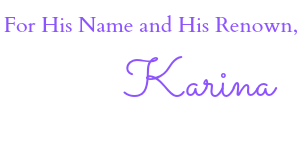 Karina Optimized Signature