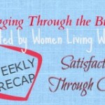 Blogging Through the Bible Weekly Recap - Bible Study Devotionals from Satisfaction Through Christ
