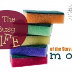 The Busy Life of a Stay At Home Mom: Thoughts on SAHM, WAHM and the career mom from Kelly. | Satisfaction Through Christ