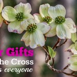 Wonder why the cross is a central symbol of Christian faith? Consider the numerous Easter gifts God offers everyone through Christ's death and resurrection.