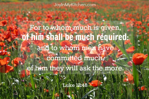 For to whom much is given, of him shall be much required: and to whom men have committed much, of him they will ask the more. Luke 12:48